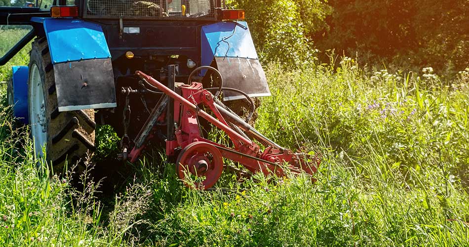 Mowing an overgrown field with a bush hog in Lakeland, FL.